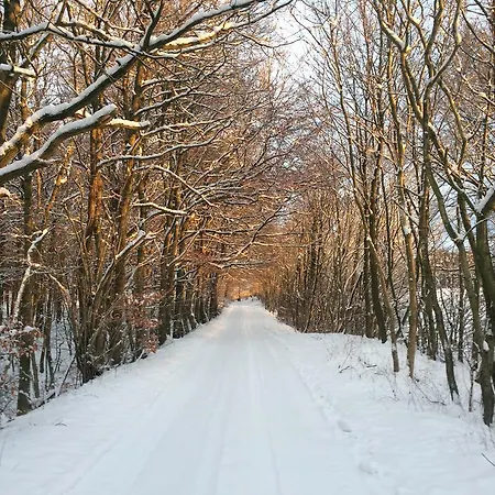 شقة Haus Sonnenblume