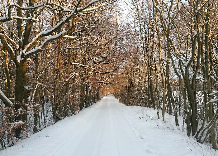 Apartment Haus Sonnenblume